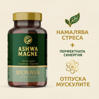 AshwaMagne