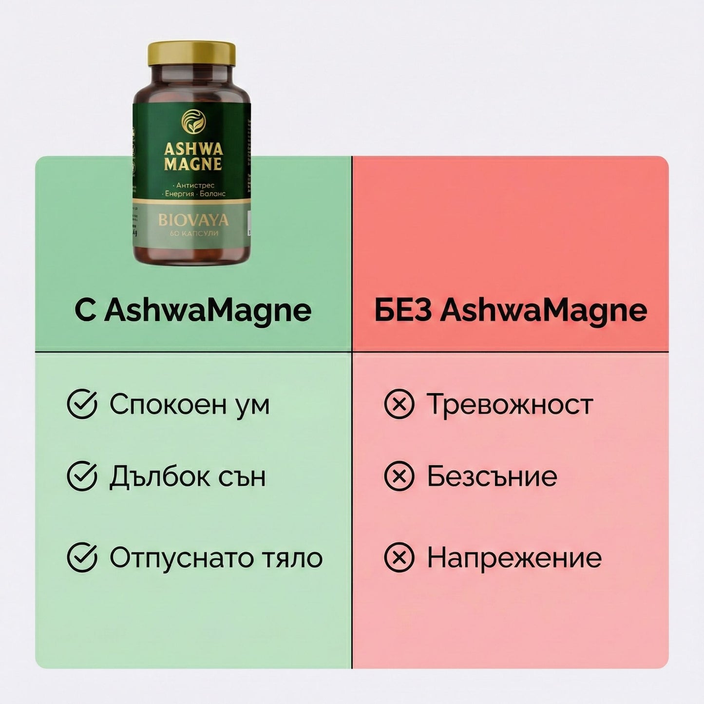 AshwaMagne