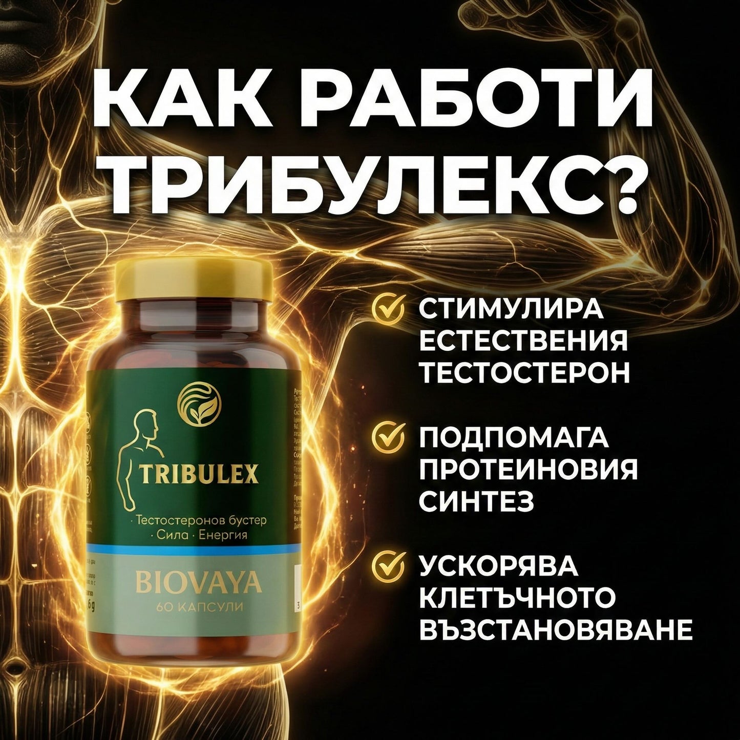 Tribulex